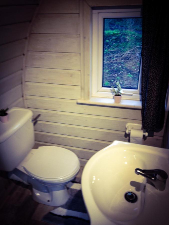 Carrigeen Glamping キルケニー エクステリア 写真